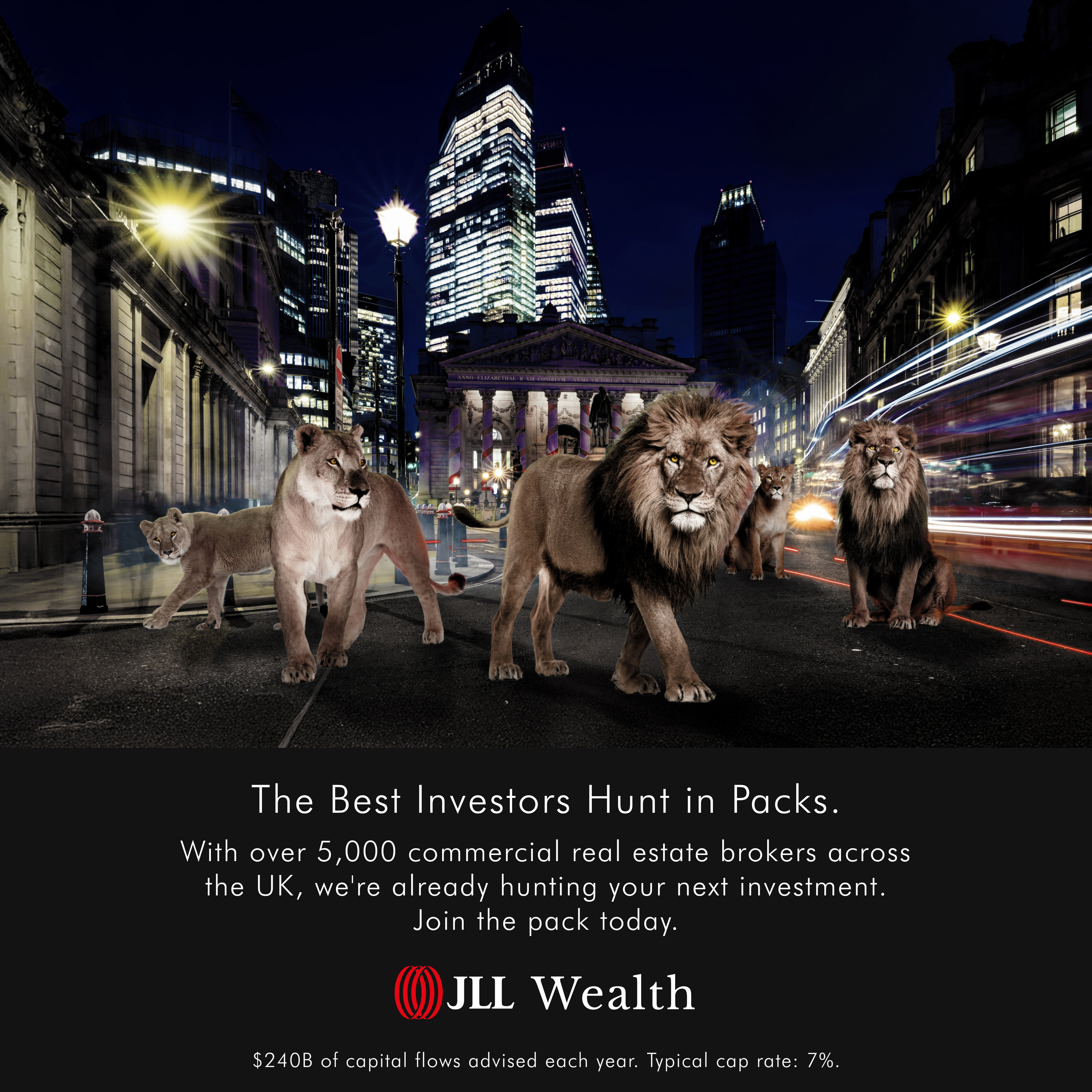 The Best Investors Hunt in Packs 1