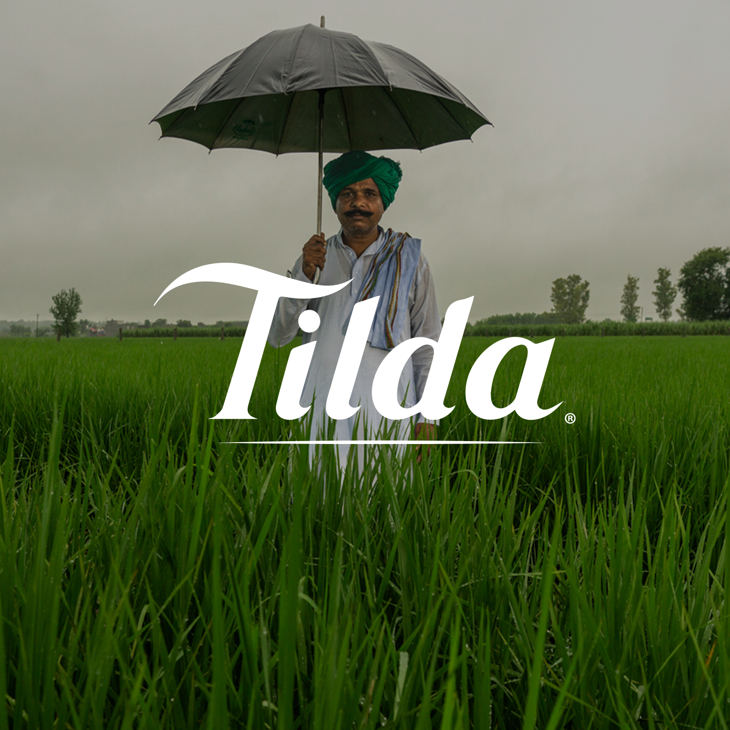 Tilda