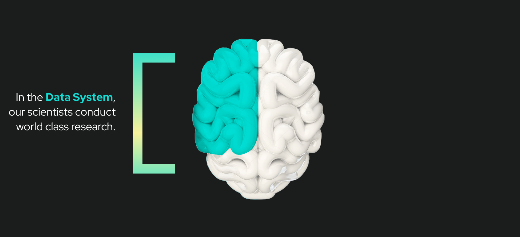 data-brain