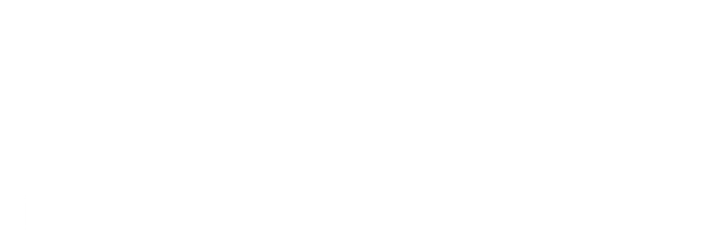 MDU - Digital Strategy